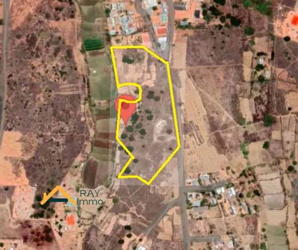 photo 1 de l annonce