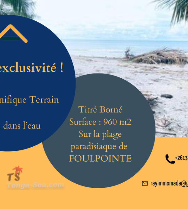 photo 1 de l annonce