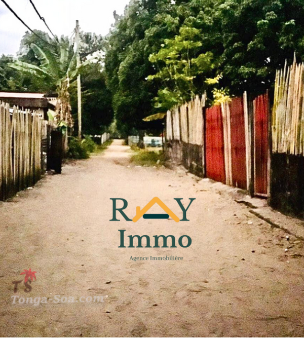 photo 3 de l annonce