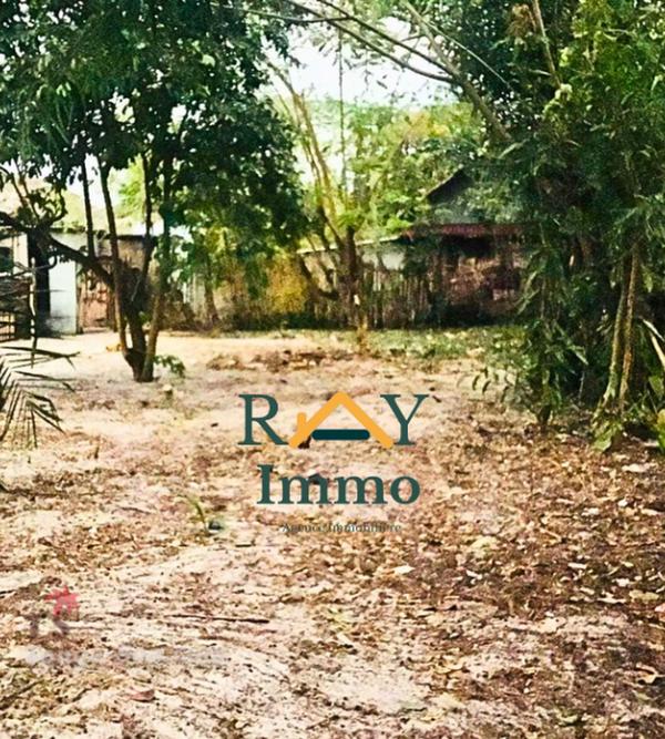 photo 4 de l annonce