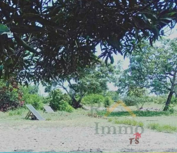 Immobilier Mada