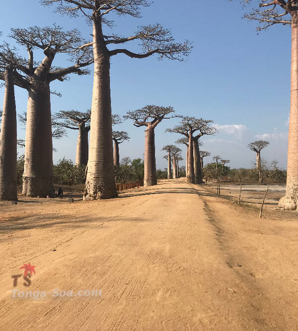 Cherche femme sincère et féminine