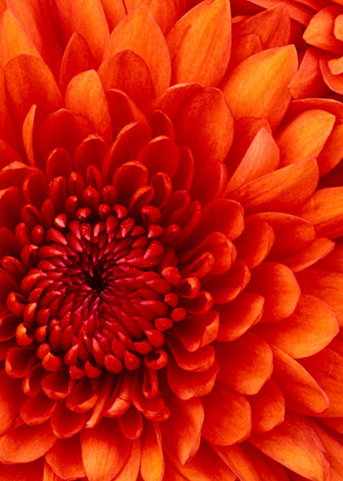 Je recherche un homme serieux