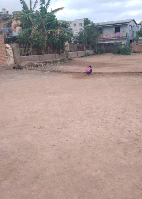 photo 1 de l annonce