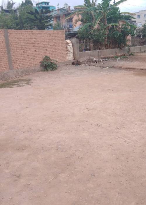 photo 2 de l annonce