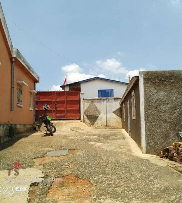 photo 2 de l annonce