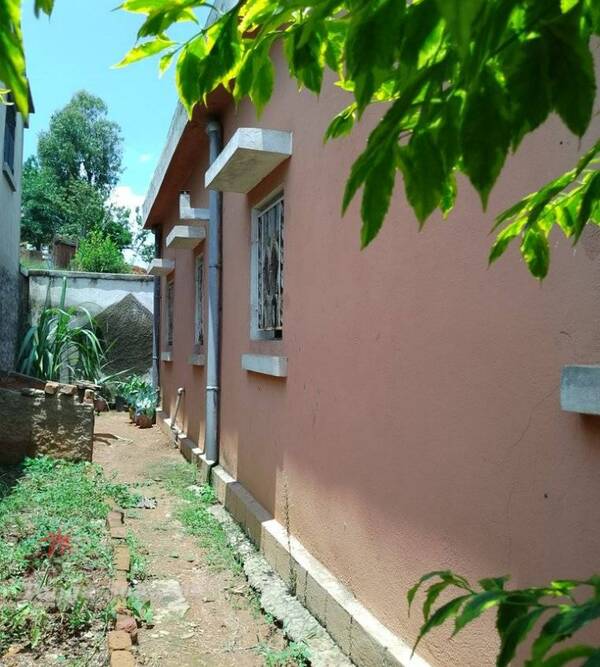 photo 5 de l annonce