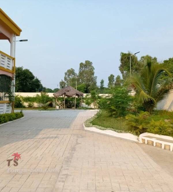 photo 3 de l annonce