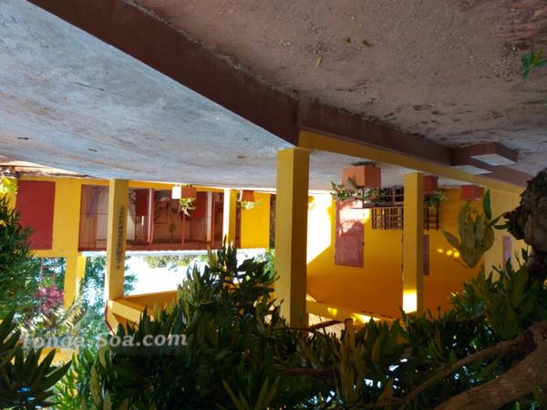 photo 1 de l annonce