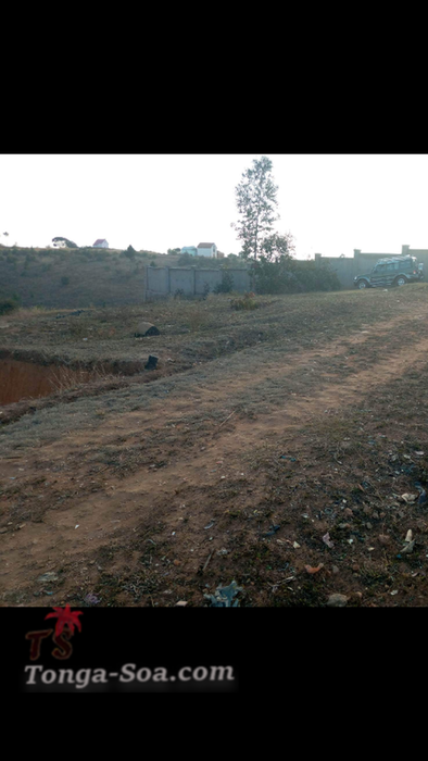 photo 1 de l annonce