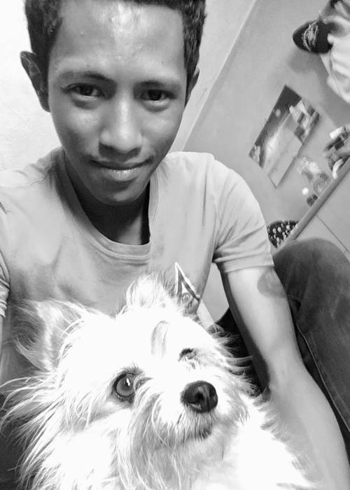 photo 1 de l annonce