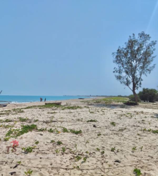 Immobilier Mada