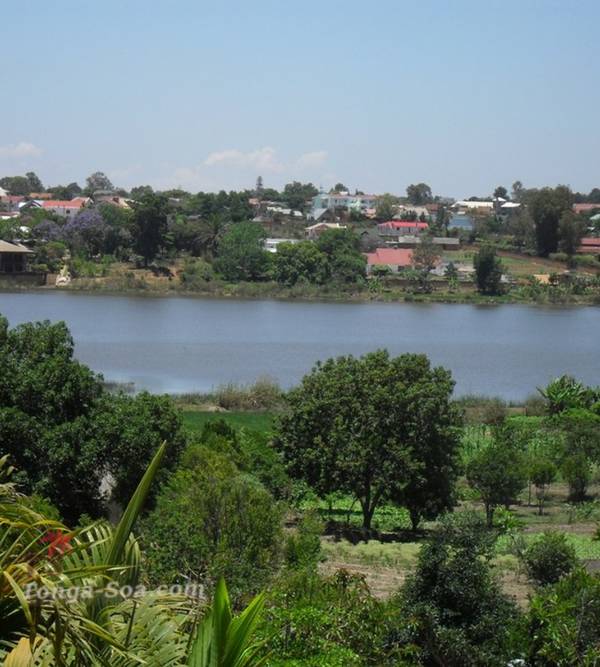 photo 2 de l annonce