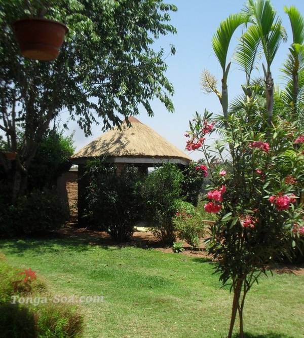 photo 3 de l annonce