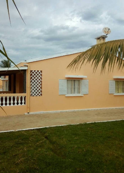 photo 1 de l annonce