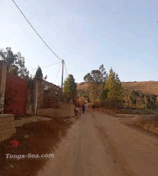 photo 1 de l annonce