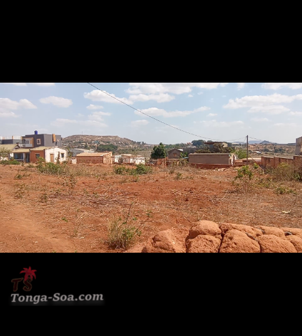 photo 1 de l annonce