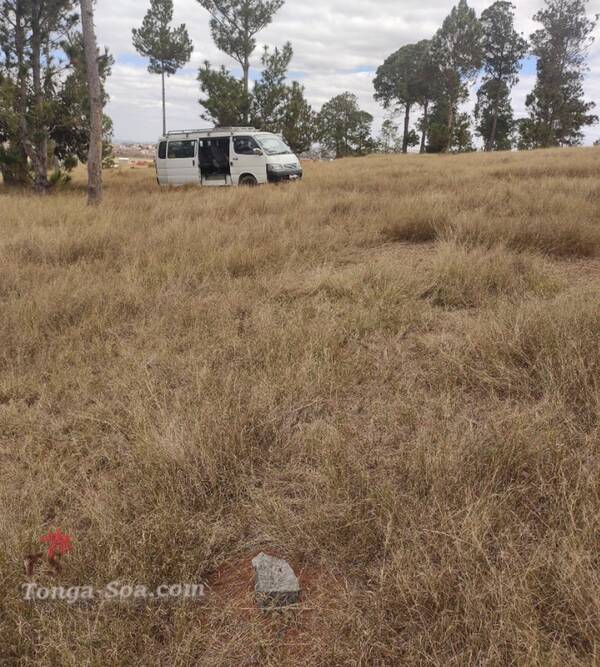 photo 2 de l annonce