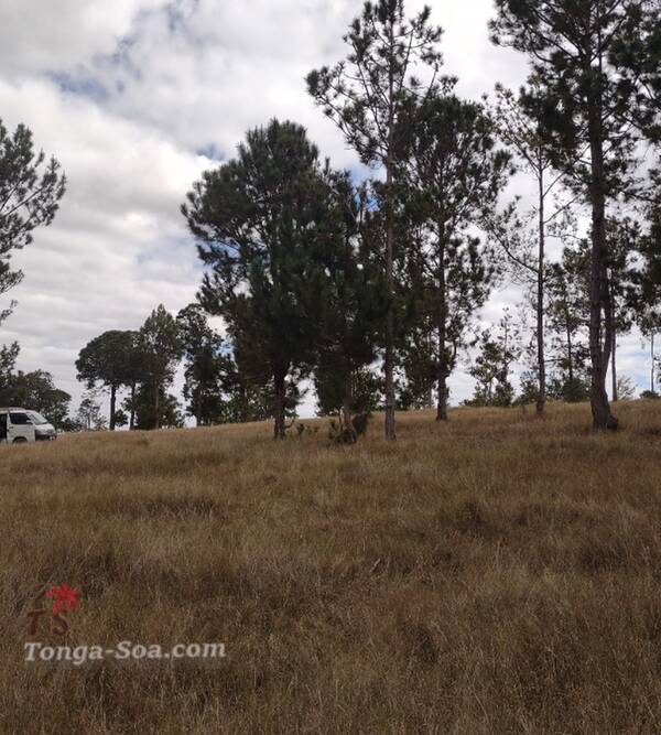 photo 3 de l annonce