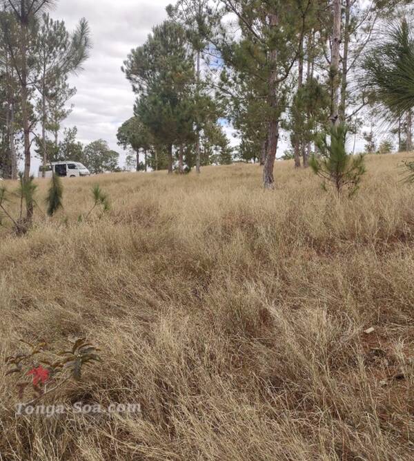 photo 4 de l annonce