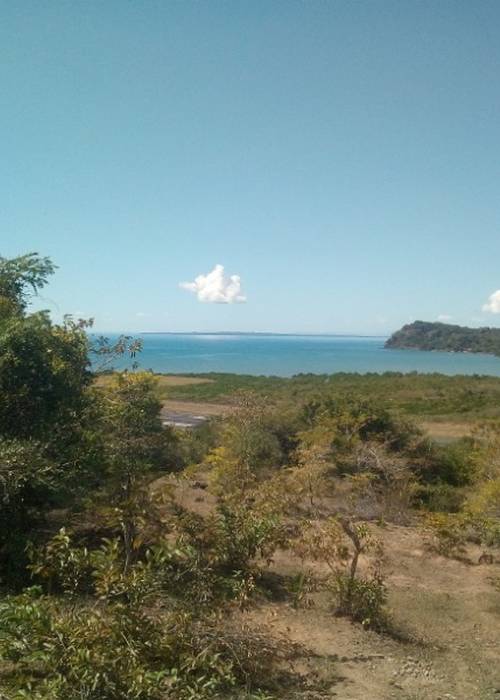 photo 1 de l annonce