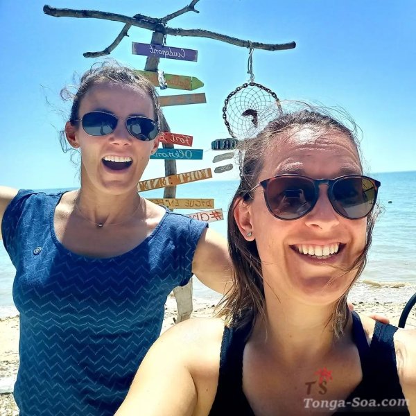 photo 1 de l annonce