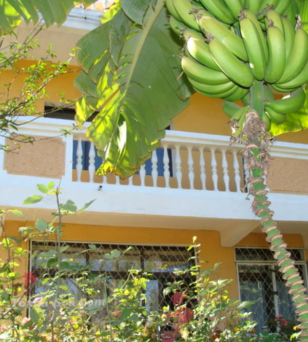 photo 4 de l annonce