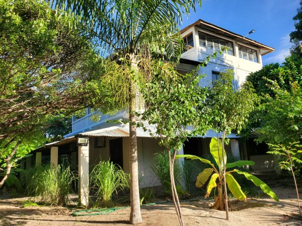 photo 1 de l annonce