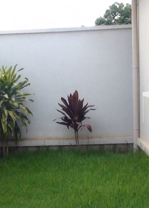 photo 3 de l annonce