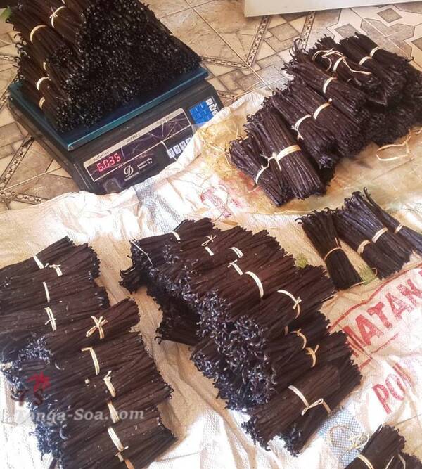 photo 1 de l annonce