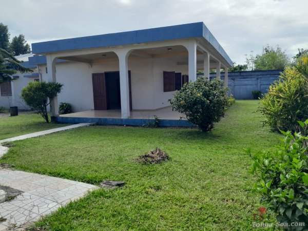 Photo 5