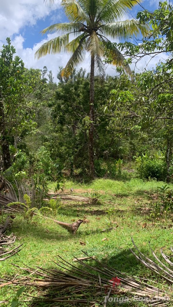 Photo 5