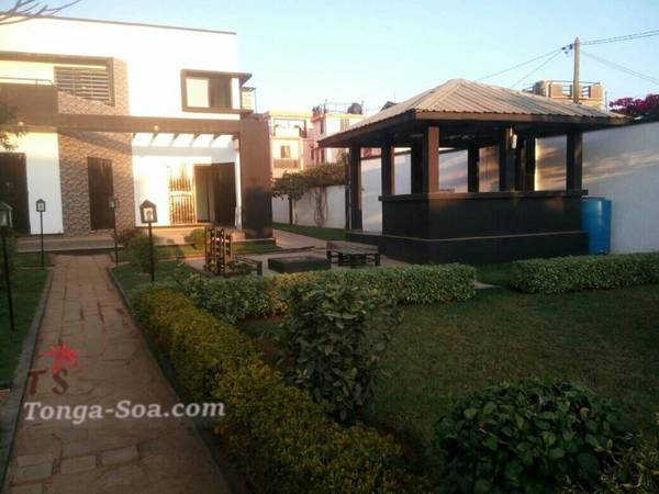 photo 1 de l annonce