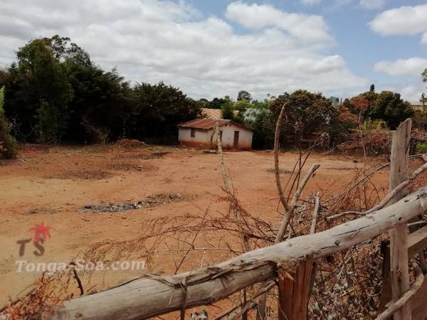 photo 2 de l annonce