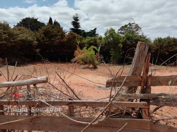 photo 4 de l annonce