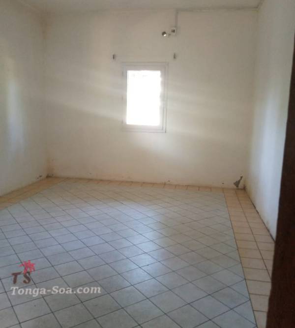 photo 1 de l annonce