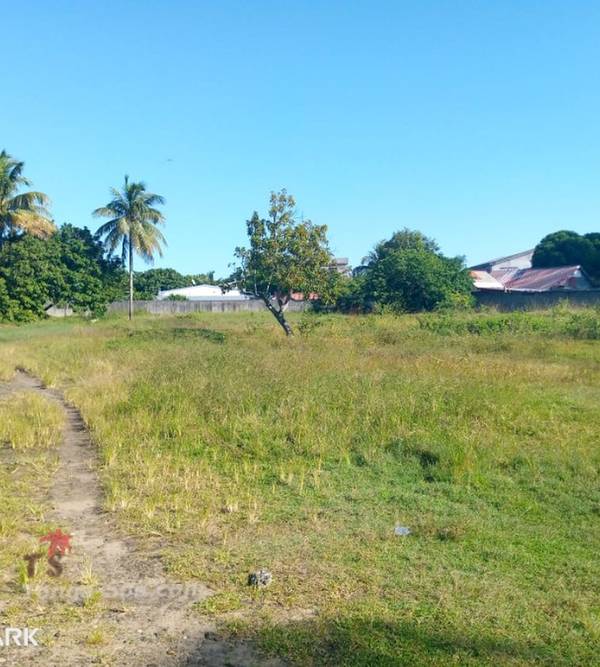 photo 2 de l annonce