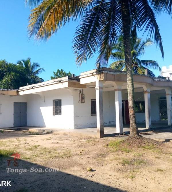 photo 5 de l annonce