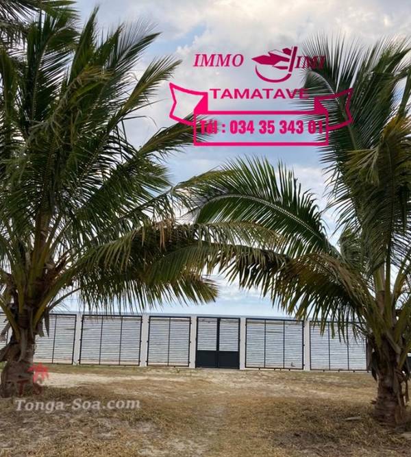 photo 3 de l annonce