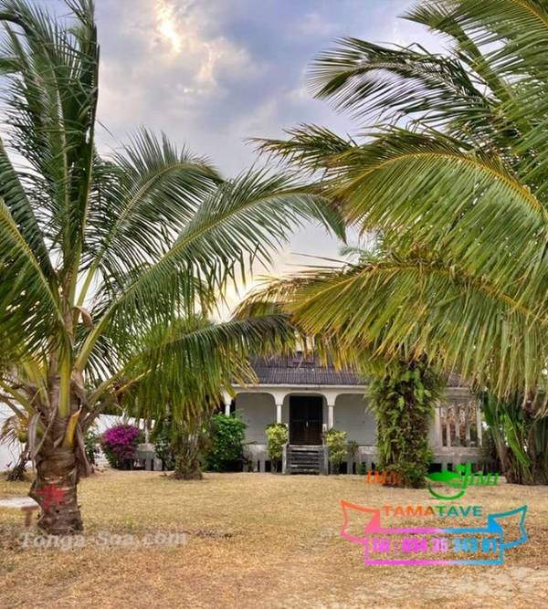 photo 4 de l annonce