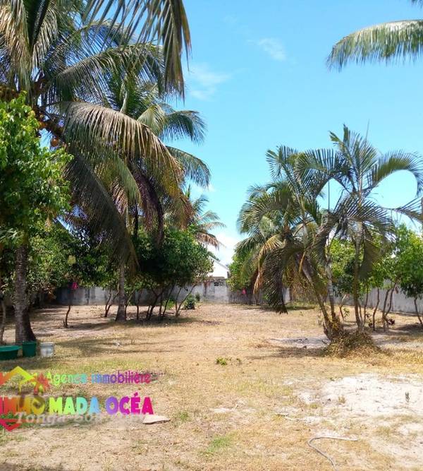 photo 1 de l annonce