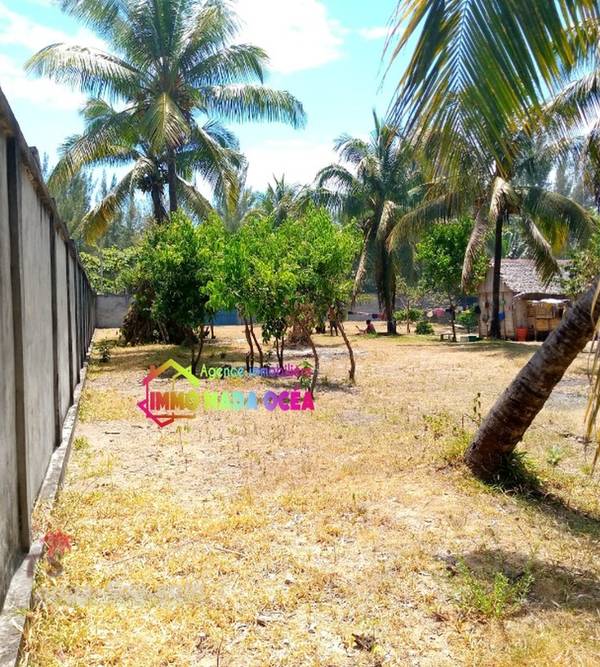 photo 2 de l annonce