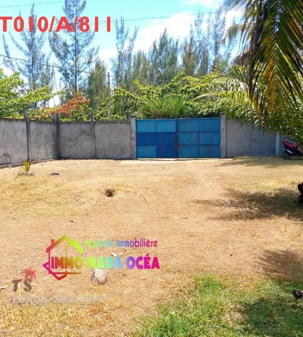 photo 3 de l annonce