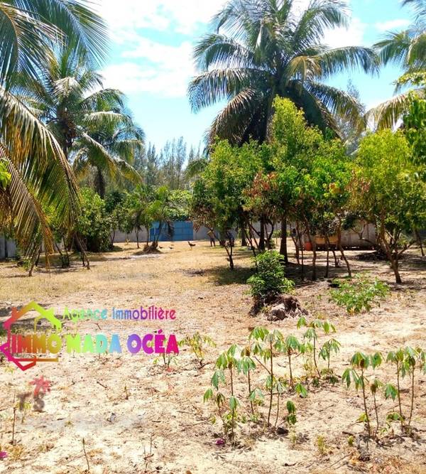 photo 5 de l annonce