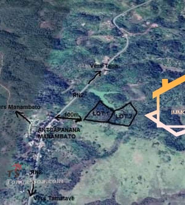 photo 1 de l annonce