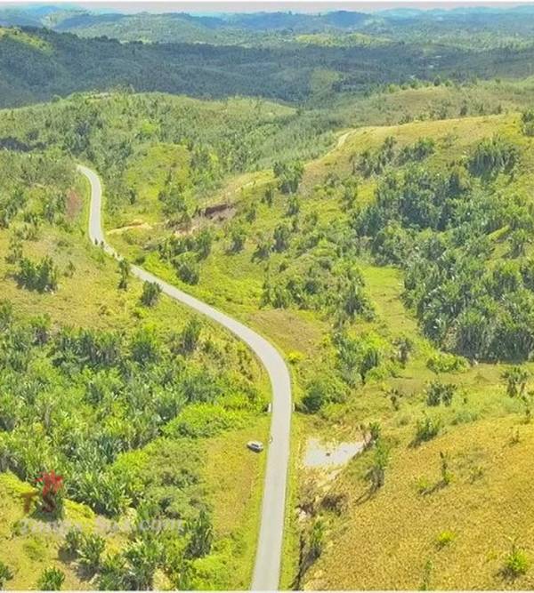 photo 1 de l annonce