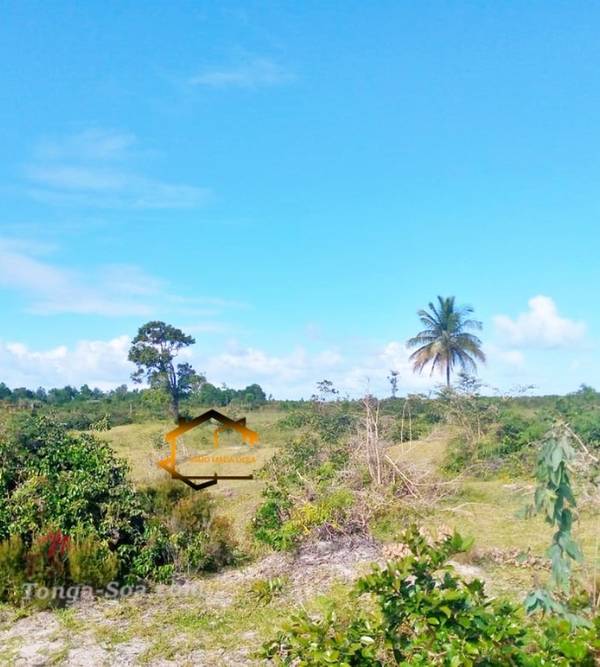 photo 1 de l annonce