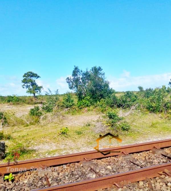 photo 2 de l annonce