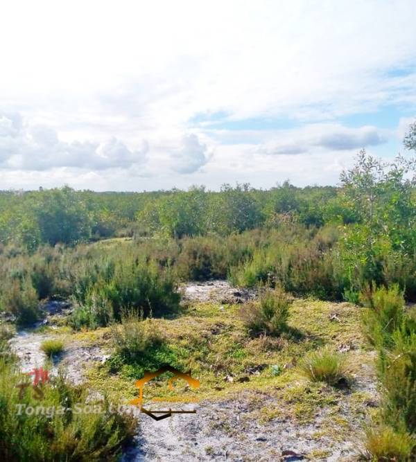 photo 3 de l annonce