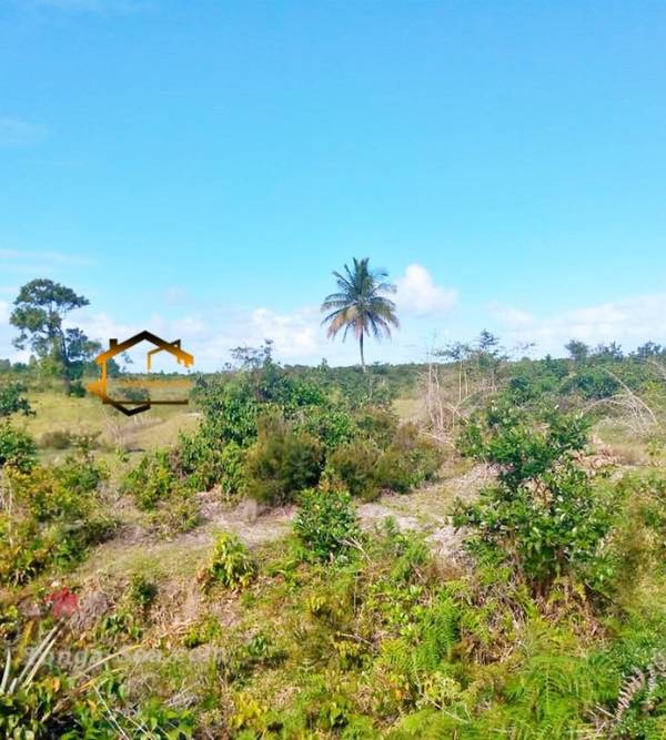 photo 4 de l annonce